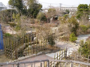 バリアフリー庭園