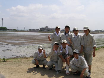 田植え