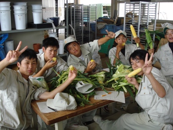 試食の様子