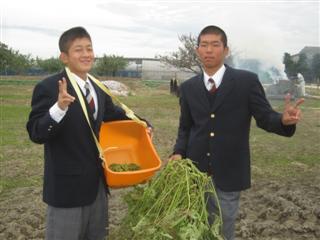 黒大豆枝豆