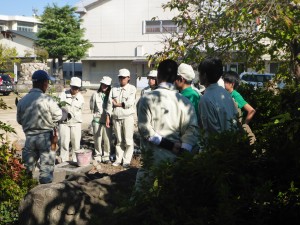 アラカシはブナ科の樹木で公園や庭の生垣などでよく見られます。