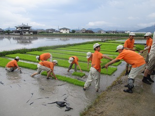 苗の積み込み