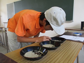 農業技術検定に挑戦