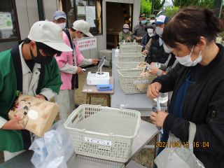 たまこで販売