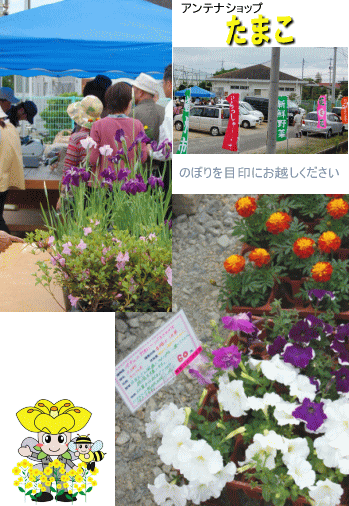 アンテナショップ