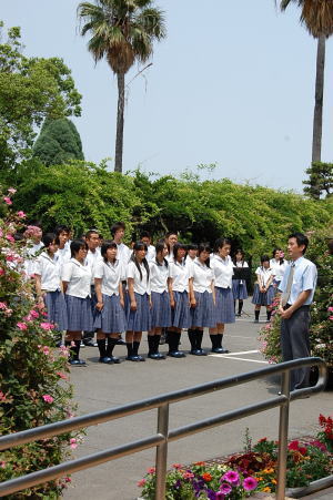 選手紹介