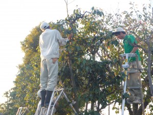 美しい仕上がりになるように頑張ります。