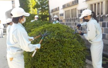 大原美術館での造園研修