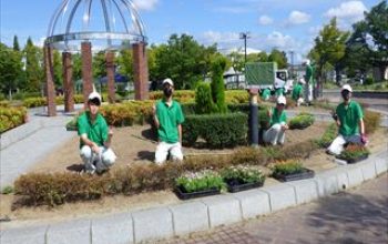 浦安公園の花壇植栽実習