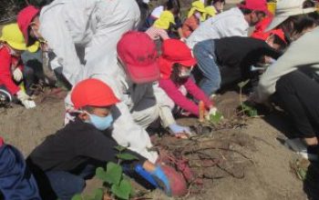六区保育園児といもほり交流会