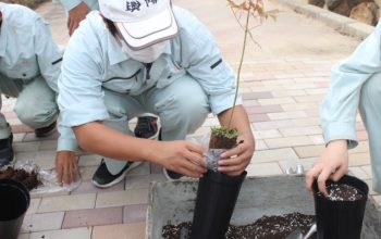 第74回全国植樹祭用の苗木スクールステイ
