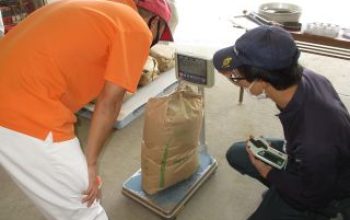 米の検査を学ぶ。