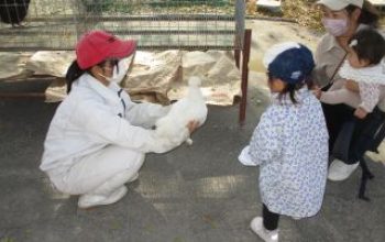 親子クラブと動物交流