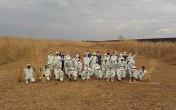 なださきレークサイドパークの葦刈り実習