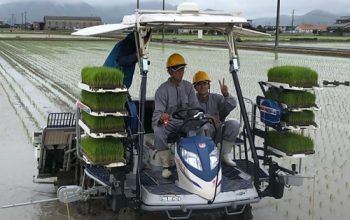 農業機械科２年生　全員田植え実習