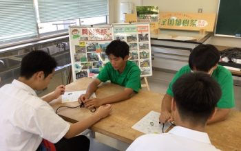 ２０２４年　興陽高校オープンスクール　造園デザイン科　結んでつくるトンボ～ロープワーク～