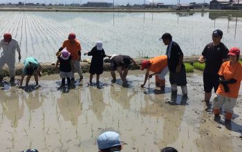 農業科×ファミリー稲作体験会 ～手植えによる田植え～