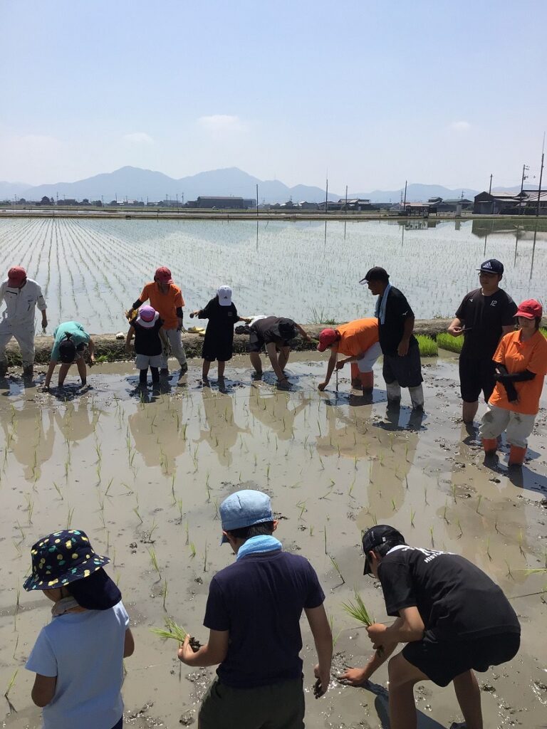 農業科×ファミリー稲作体験会 ～手植えによる田植え～