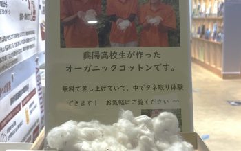 農業クラブ×被服デザイン科×環境学習プラザアスエコ ～綿花プロジェクト展示～