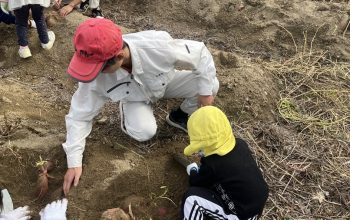 農業科2年×岡山市六区保育園 ～サツマイモ交流：収穫～