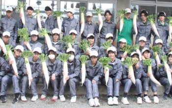 【造園デザイン科1年・農業と環境】ダイコン「YRくらま」収穫