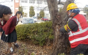 【造園デザイン科２年生】樹木の保護・育成講習会