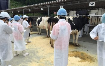 農業科畜産選択×岡山県大会　優秀賞受賞～農業クラブ家畜審査競技（乳牛の部）～